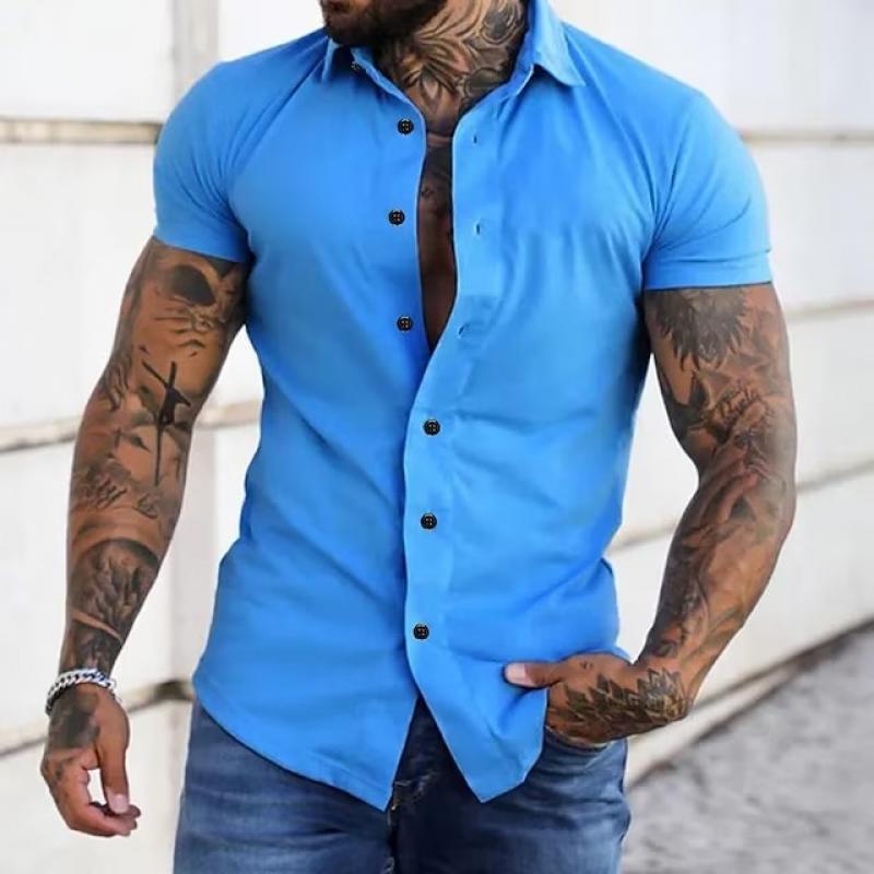 Men's Lapel Collar Short Sleeve Button-Down Summer Shirt