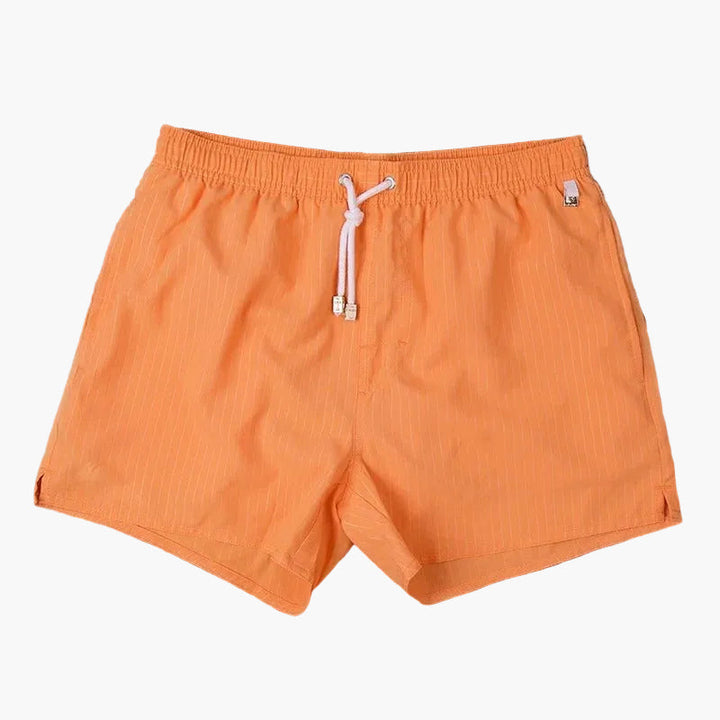 Men's Striped Summer Swim Shorts Quick Dry Drawstring Board Shorts