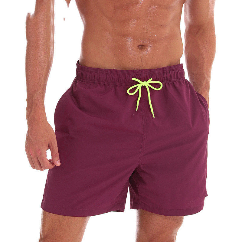 Men's Swim Shorts Quick Dry Drawstring Beach Pool Summer